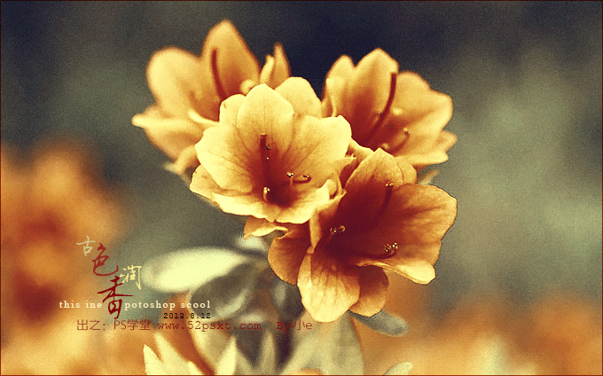 调出古韵金色花朵图片的PS滤镜调色方法